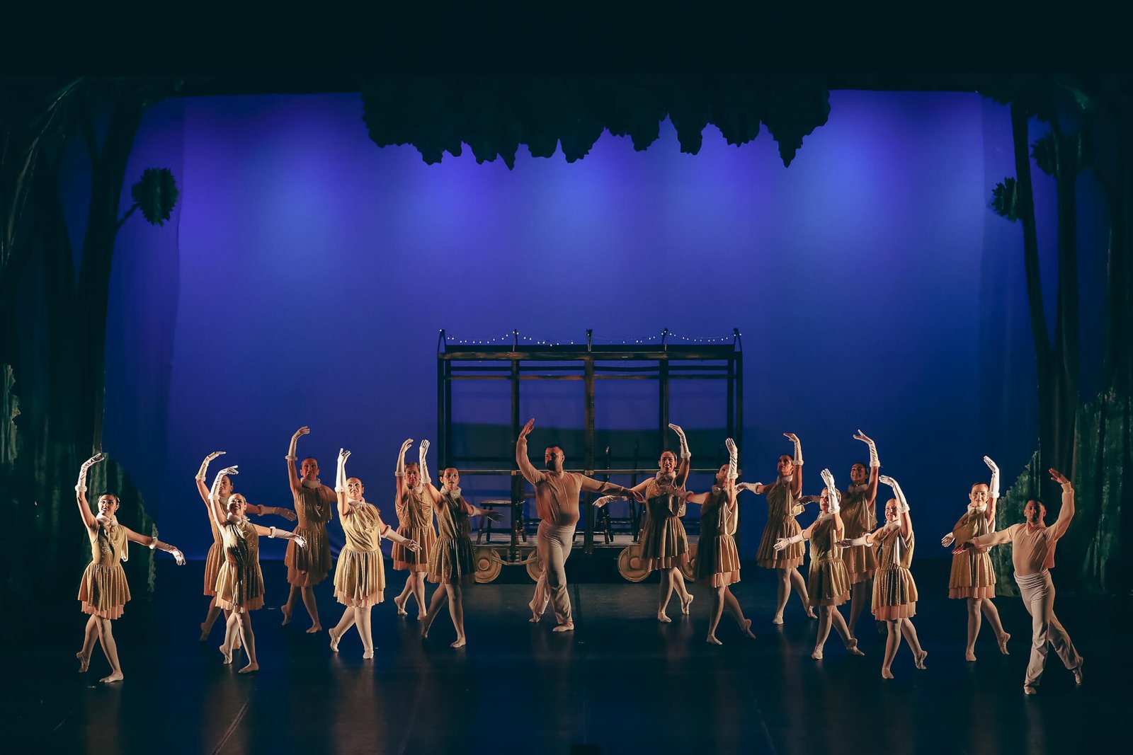 ballet para adultos em santos